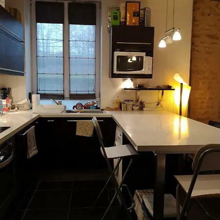 Apartamento Cosyterroir 51m2 - Cité De La Gastronomie Et Du Vin - Arquebuse-gare - Commodités à 2 Pas *